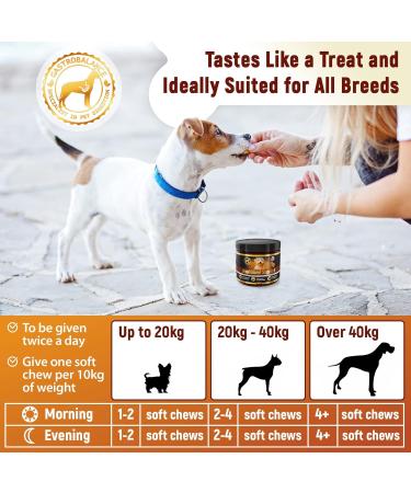 Buy GastroBalance Healthy Anal Glands Dog Chews - 60 Natural Chicken Flavor Soft Snacks for Optimal Health - Buy Online on GoSupps.com