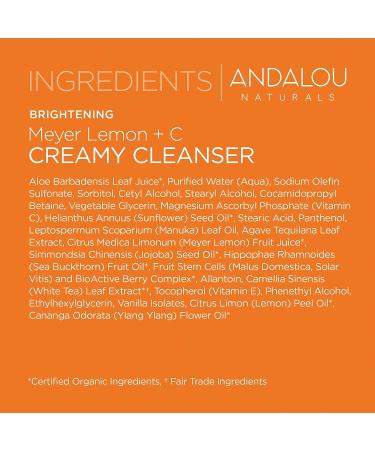 Brightening Meyer Lemon + C Creamy Cleanser - Gentle Facial Cleanser for Radiant Skin - Buy Online on GoSupps.com