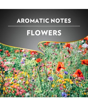  Lavazza Lavazza Caf Moulu Perfetto Espresso 250g - Buy Online on GoSupps.com