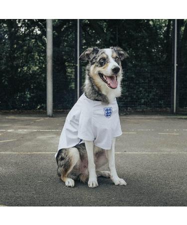 Dogsy Official Personalised England Dog Shirt | England Football Shirt for Dogs | Dog England Outfit | Dog England Football Kit | Licensed England Shirt | Dog Football Top (Medium) - Buy Online on GoSupps.com