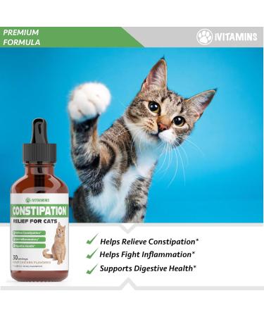 Cat Constipation Relief - May Help to Soften Stool Ease Bowel Movements & Much More - Supports Healthy Digestion - Cat Laxative - Constipation Relief for Cats - 1 fl oz - Chicken Flavor - Buy Online on GoSupps.com