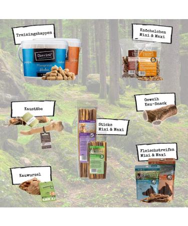 Meat Strips Mini Dogeleckerli - 100% Wild Meat Snacks for Small Dogs | 70g Hypoallergenic & Grain-Free Dried Wild Chest Stripes - Buy Online on GoSupps.com