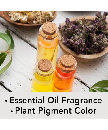 Dead Sea Salt Mud Charcoal 4 oz Soap Variety 3 Pack with Shea Butter and Argan Oil - 100% Natural for All Skin Types - Pack of 3 - Buy Online on GoSupps.com