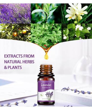 EFH Essential Oils Set 6 Natural Fragrance Oils for Diffusers & Candles | Lavender Lemon Peppermint Sweet Orange & Sakura 10ML Each - Buy Online on GoSupps.com