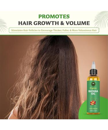SAHAK Raw Batana Oil for Hair Growth | 100% Natural Batana Oil from Honduras | Dr. Sebi Approved | 120 ml - Repair Hair Loss for Men & Women - Buy Online on GoSupps.com
