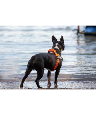 Julius-K9 Belt Harness M/0 - Stylish Orange-Grey Color for Ultimate Pet Comfort | International Shipping Available - Buy Online on GoSupps.com