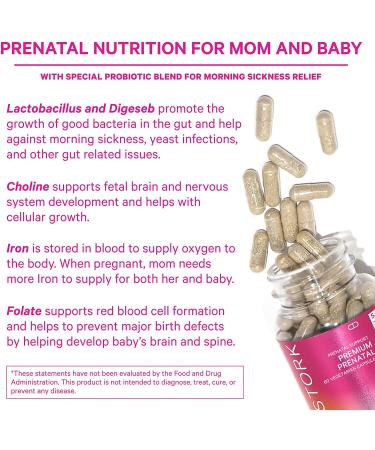 Pink Stork Premium Prenatal Vitamins - Organic Whole Food Ingredients with Folate, Vitamin A, C, Zinc & Biotin - 60 Capsules | Women-Owned - Buy Online on GoSupps.com