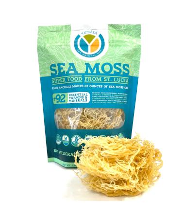 Organic Sea Moss | 100% Wildcrafted, Raw, Sun-dried | Makes 65oz of Sea Moss Gel | Gold, Purple (GOLD)