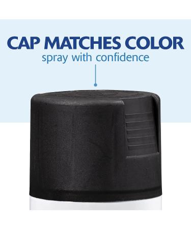 Rust-Oleum 249127 Painter's Touch 2X Ultra Cover Spray Paint  12 oz  Flat Black Flat Black 12 Ounce Flat Cover - Buy Online on GoSupps.com