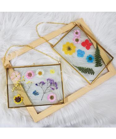 TLBTEK 2 pcs Hanging Photo Frames - 5x7 inch Double Glass Frames for Pressed Flowers - Vintage DIY Artwork Display - Wall Mounted Photos Frame - Horizontal and Vertical Display - Clear Glass - Buy Online on GoSupps.com