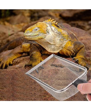 Ultechnovo Fine-Meshed Sand Filtering Shovel for Reptiles | Stainless Steel Terrarium Substrate Tool - Buy Online on GoSupps.com