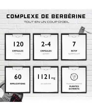 Berberine HCL Complex - Highly Dosed With 1120 mg Per Daily Serving - GDA Formula With 7 Active Ingredients - 120 Capsules - Vegan - Buy Online on GoSupps.com