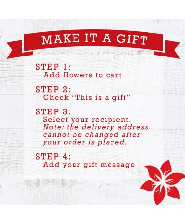 Stargazer Barn Happy Bouquet: Farm Fresh Colorful Tulips Delivered to Your Door - Buy Online on GoSupps.com