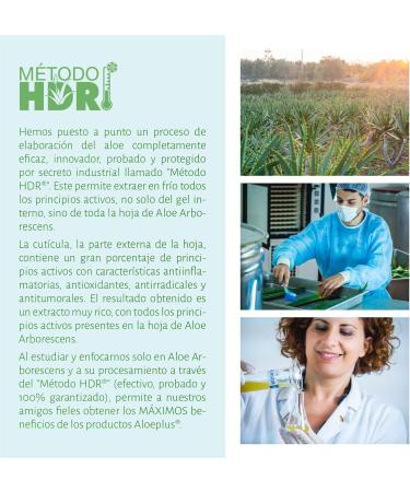 Aloeplus Capsules Dogs 11+ kg - Natural Supplement Based on Organic Italian Aloe arborescens for the Well-being of Dogs from 11 kg - Buy Online on GoSupps.com