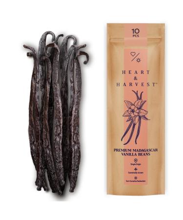 Heart & Harvest Premium Madagascar Vanilla Beans Grade A, 5"- 6" Long Bean Sticks, Pack of 10 Whole Vanilla Pods Perfect to Make Pure Vanilla Powder & Extract for Baking, Ice Cream, Syrup & More Madagascar Grade A 10 Count…