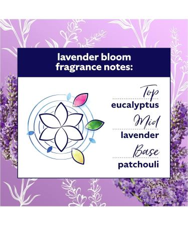 Comfort Lavender Bloom Fabric Conditioner - Long-lasting Freshness & Softness 6x 1.26 L (216 washes) - Buy Online on GoSupps.com