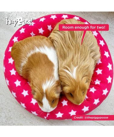 HAYPIGS Circus Themed Fleece Guinea Pig Mat - Cozy Bedding for Small Pets - Buy Online on GoSupps.com