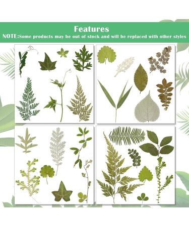 TimTin 84 Pieces Dried Leaves and Flowers Resin Craft Kit - Assorted Greenery for DIY Handmade Bookmarks - Vivid Style - Buy Online on GoSupps.com