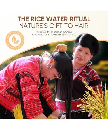 Shampooing r g n rant l'eau de riz shampoing r g n rant la biotine pour cheveux fins et cassants pour hommes et femmes 2Pcs - Buy Online on GoSupps.com