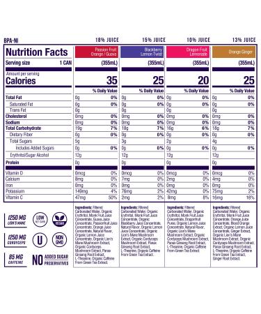 ODYSSEY ELIXIR - Sparkling Mushroom Energy Drink - Lions Mane & Cordyceps - Mental Focus & Stress Relief - Organic Caffeine - Adaptogens - Variety Pack - 12oz x 12 - Buy Online on GoSupps.com