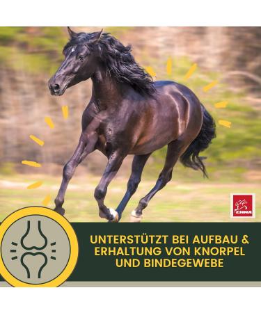 Buy Emma MSM Horse Joint Liquid 1L - High-Dose MSM Glucosamine & Chondroitin for Healthy Joints & Movement | International Shipping Available - Buy Online on GoSupps.com