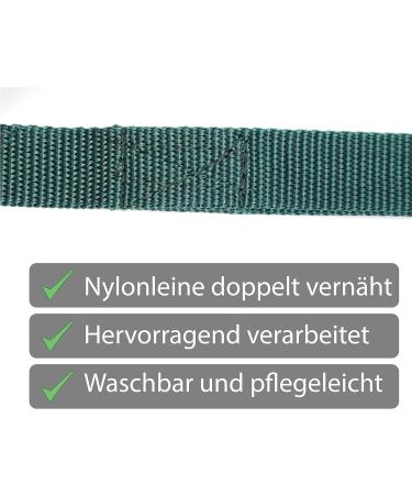 Guide for Horses - Safe Leading with Iron Chain & Nylon Handle | Stallion Pony Dog Donkey | 2.10m Length in Blue Red Green Black - Buy Online on GoSupps.com