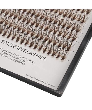 Buy Large Tray 10-20mm Brown Color Lash Extensions | 20 Roots D Curl Individual False Eyelashes - 0.07mm Thickness | Volume Makeup Tools - Buy Online on GoSupps.com