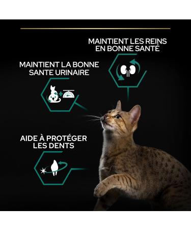 Pro Plan PURINE PRO PLAN Sterilized dry food for adult cats 1+ with OPTIRENAL rich in salmon pack of 1 (1 x - Buy Online on GoSupps.com