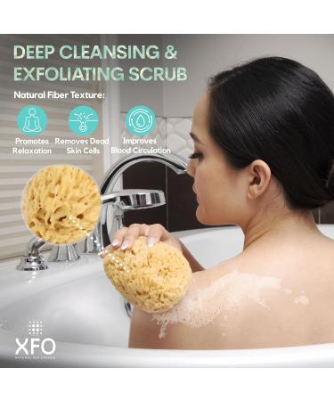 Natural Yellow XFO Sea Sponge 4.5in | Eco-Friendly Loofah Alternative for Bathing & Exfoliating | All-Natural USA Grown Sponge - Buy Online on GoSupps.com
