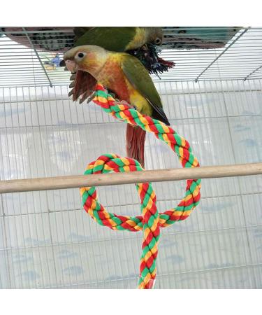 PopetPop 2-Pack Bird Stand - Natural Hood & Spiral Cotton Rope Swing for Parrots & Birds - Durable & Safe Bird Play Equipment - Buy Online on GoSupps.com