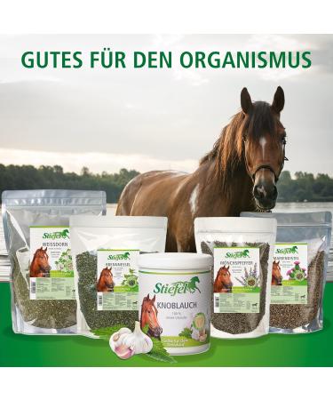 Stiefel Chasteberry Whole Seeds 500g - Buy Online on GoSupps.com