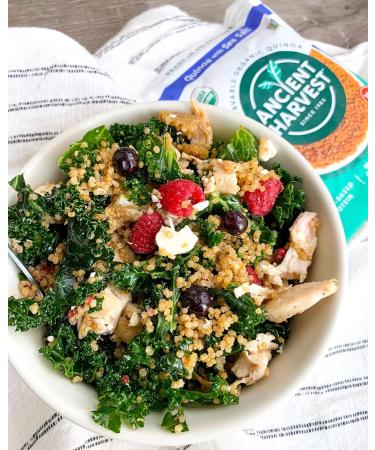 Organic Microwavable Sea Salt Quinoa - Vegan Plant Based Protein, Gluten-Free, Non-GMO Ingredients - Family Size 16oz (Pack of 6) - Buy Online on GoSupps.com