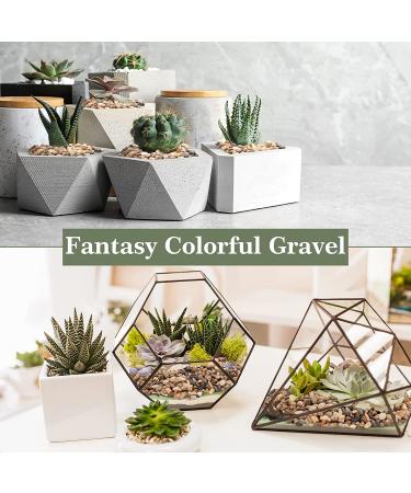 2.5lb Mixed Color Decorative Rocks for Plants - Natural Pea Gravel for Succulents, Vases, Fish Tanks - Matte Texture, 1/5 Inch - Buy Online on GoSupps.com