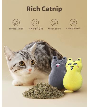 Feeko Cat Catnip Pillow Toys Set Interactive Rattle Sound Cat Toys for Indoor Cats (5 Pack) - Buy Online on GoSupps.com
