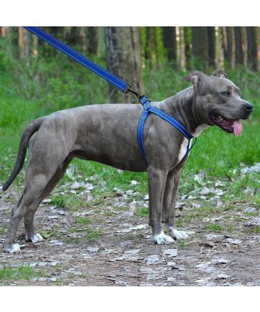 Collardirect Adjustable Reflective Dog Harness - Sizes S M L - Outdoor Walking Gear for Dogs & Puppies - Available in Pink Black Red Purple Mint Green Orange Blue Lindgr n - Buy Online on GoSupps.com