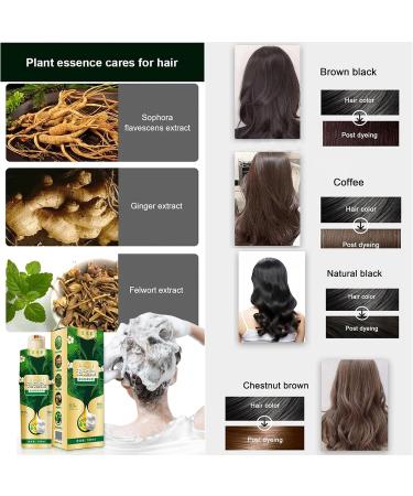 Buy 300ml Plant-Based Dyeing Foam Shampoo for Grey Hair - Easy Wash Color Cream for Men & Women (Chestnut Brown) - International Shipping Available - Buy Online on GoSupps.com