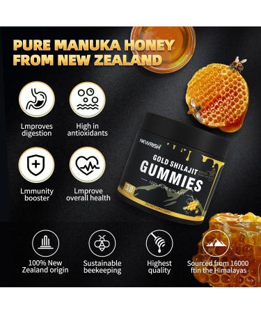 Newrish 2 Shilajit Gummies - Himalayan Source with Gokshura & Fulvic Acid 85+ Trace Minerals No Added Sugar 100% Natural Organic Non-GMO 30-Count for Men & Women - Buy Online on GoSupps.com