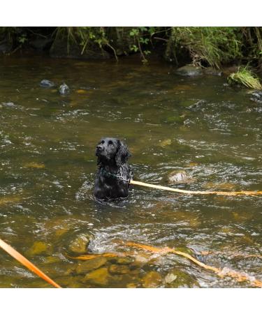 Waterproof Long Line Dog Training Lead - 20m, Suitable for all Sized Dogs - Buy Online on GoSupps.com