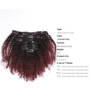 Loxxy Afro Kinkys Curly Hair Extensions Clip In - 10 Inch 4B 4C Natural Hair Clip Ins - Virgin Brazilian Human Hair for Black Women - Red Brown Ombre 1B/99J - Buy Online on GoSupps.com