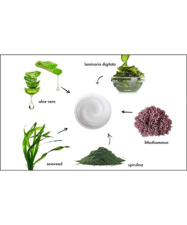 Raya Ultra-Light Seaweed Cream (304) | Day Cream for Oily, Break-Out Skin | Controls Oil & Reduces Wrinkles - Buy Online on GoSupps.com