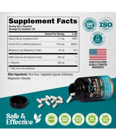 GABA L-Theanine 900 mg - Made in USA - Magnesium | Vitamin B6 - Calm, Sleep, Relaxation & Mood Support - 750 mg Gamma AminoButyric Acid, 150 mg L-Theanine - Non-Habit Forming, Vegan - 240 Capsules 240 Count (Pack of 1) - Buy Online on GoSupps.com