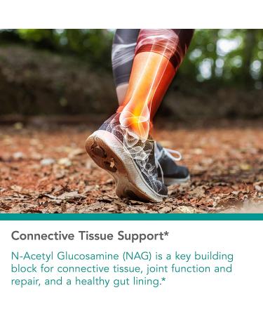 Nutricology N-Acetyl Glucosamine - 90 Vegetarian Capsules | Joint Support & Mobility - Buy Online on GoSupps.com