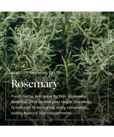 Nikura Rosemary Essential Oil 50ml - 100% Pure Natural Oil for Hair Growth and Aromatherapy | Vegan & UK Made - Buy Online on GoSupps.com