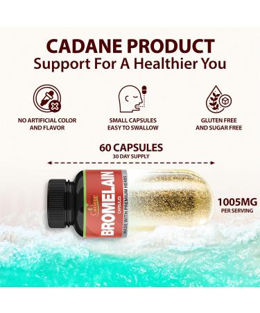 Organic Cadane Bromelain Extract Capsules with Quercetin Elderberry Ginger Echinacea Garlic Black Pepper - 60 Capsules - Buy Online on GoSupps.com