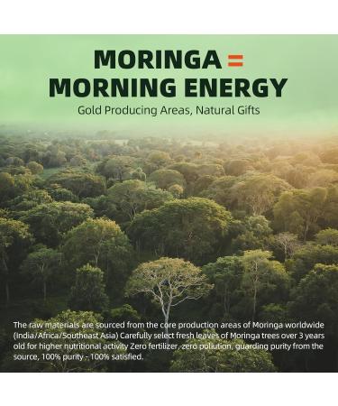 Moringa Pure Capsules, Rich Moringa Powder, A Natural Green Antioxidant Superfood - Supports Energy, Skin Health, Gut Health, with Essential Vitamins & Amino Acids, 180pcs-2 Pack 180 Count (Pack of 2) - Buy Online on GoSupps.com