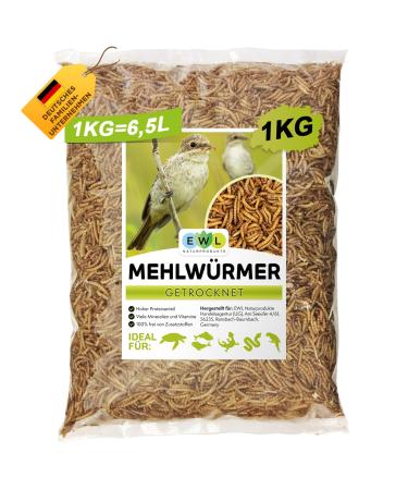Flourworms dried 1kg 6500ml of insect snack for birds fish turtles rodents and reptiles bird feed wild birds all year round squirrel feed hedgehog lining mealworms 6.5 l (1 Pack) - Buy Online on GoSupps.com