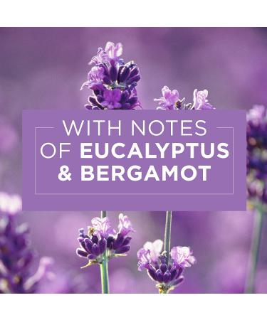 Glade Tranquil Lavender & Aloe Candle Jar 3.4 Oz - Air Freshener - Buy Online on GoSupps.com