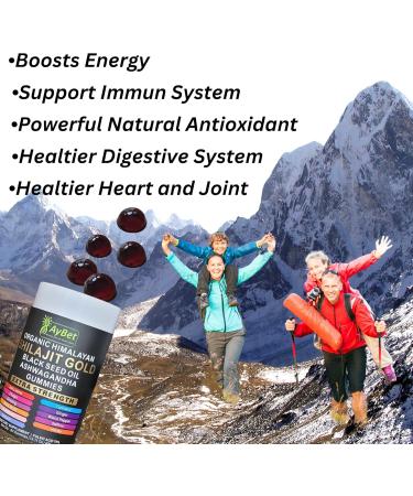 Organic Himalayan Shilajit Gold Gummies for Men and Women Black Seed Oil Ashwagandha Ginseng Turmeric Gokshura Lion's None Lab Tested %75 Fulvic Acid No Sugar Added Halal 90Gummy 90 Count (Pack of 1) - Buy Online on GoSupps.com