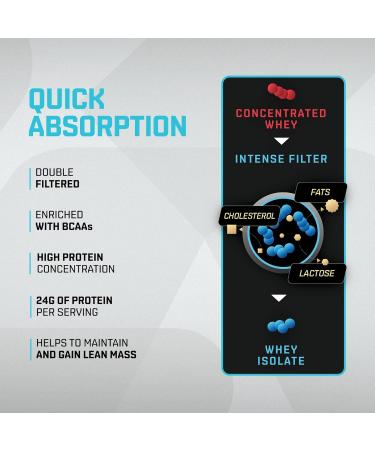 Whey Protein Isolate Chocolate - 24g Protein/Scoop Amino Acid Rich Rapid Absorption - 32oz for Pre & Post-Workout | International Shipping - Buy Online on GoSupps.com