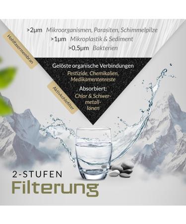 Buy Replacement Filter for BERGKVIST OBISIDIAN Outdoor Water Filter Bottle (650ml) - Optimize Your Hydration - Buy Online on GoSupps.com